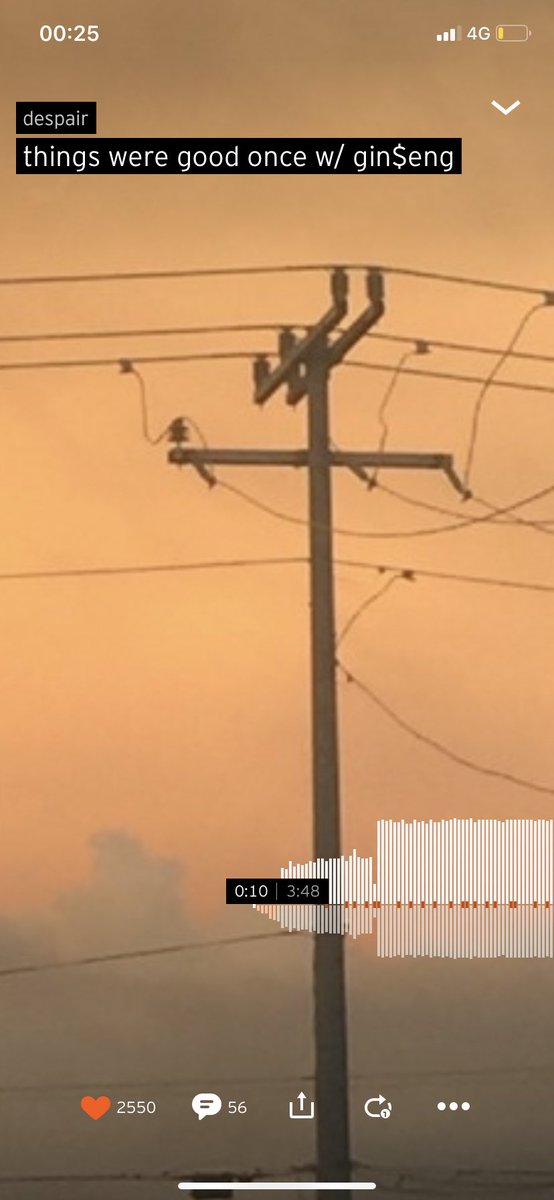 bugsor's tweet image. so calming