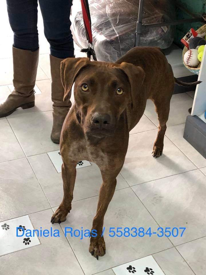 cristina rocha tweet media