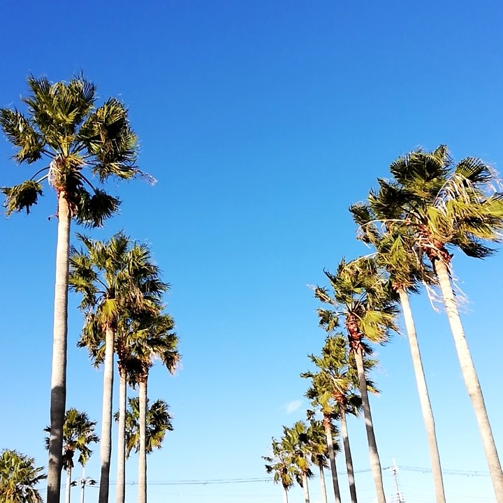 Areyouready_Ks's tweet photo. おはよ❗
空 ☁️曇り…
心 🌞晴れ☮️
まずはベーオン心斎橋🎸
昼からMother Popcorn🥁
メガフーZ 2020 出航🤗🎶
#驚きと感動リレー0125 #LIVE812ライバー #YAIZOO #TheBlankets #PLRF #MotherPopcorn https://t.co/YpbJG5bdc0