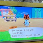 たぬきちのセミナーに行った人による衝撃の報告がこちらになります・・・