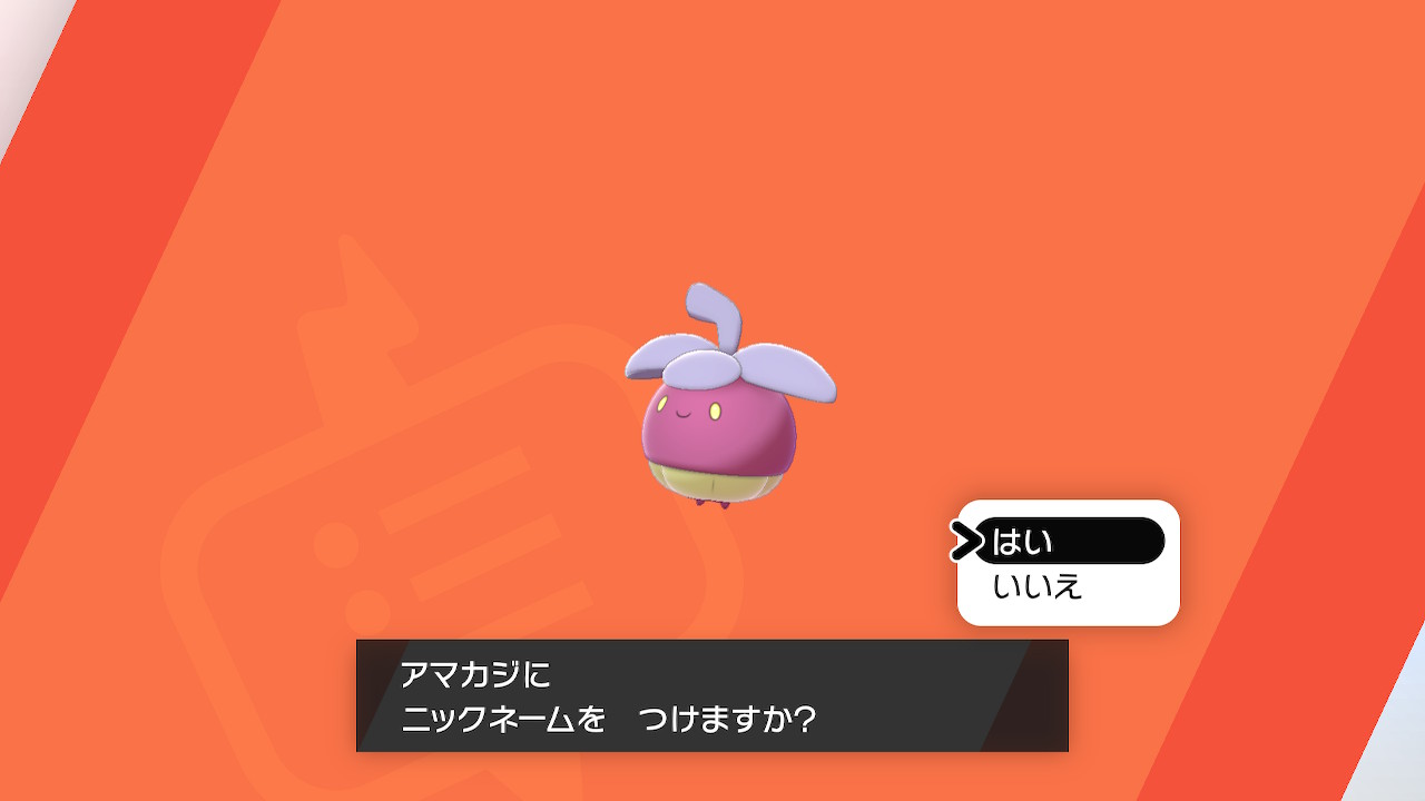 Megaro 色アマカジ来たー 剣盾初の色違い ポケモン剣盾 Nintendoswitch T Co 5kxpngl8ih Twitter