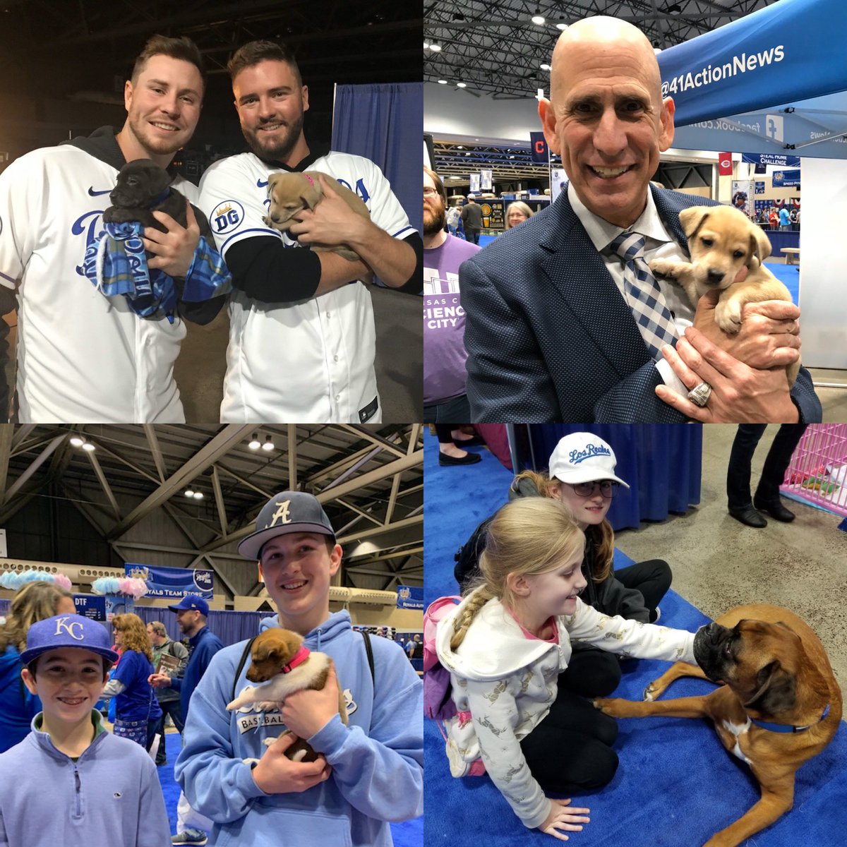 WaysideWaifs's tweet photo. Pawsome fun and unlimited cuddles at #FanFestKC be sure to come by and see us! More fun tomorrow
too! #ForeverRoyal #ForeverLoyal #KC #WaysideWaifs. @Royals https://t.co/gDniLklz8j