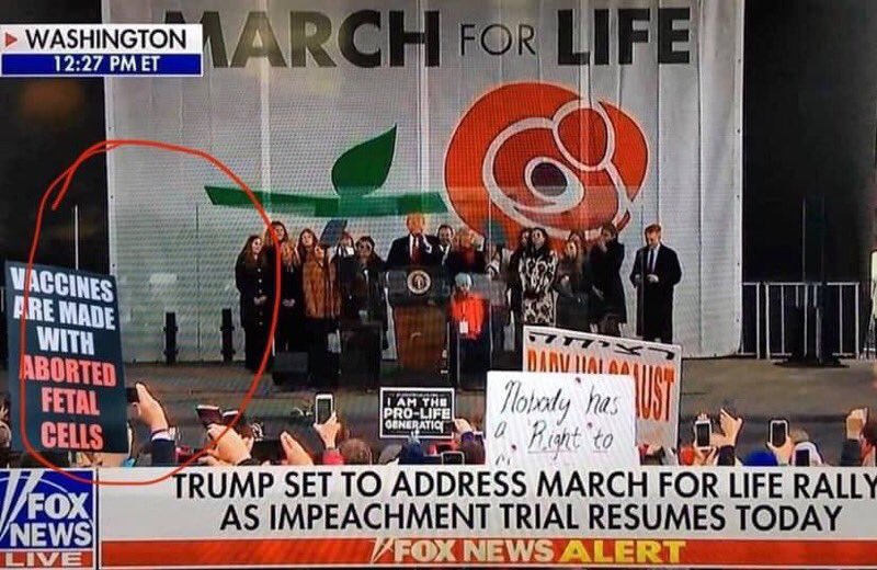 chicana_patriot's tweet photo. Thank you @realDonaldTrump for supporting life. #vaccines contain aborted fetal dna #wi38 #MRC5 #walvax2 https://t.co/teV8IDK7E8