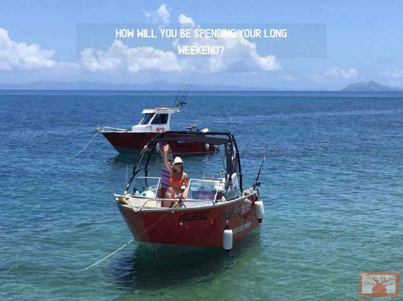 boabboats's tweet photo. We are so pumped for the Australia Day long weekend!! What do you have planned? If you're still stuck for ideas why not take one of our boats out for the day! ☀️🛥️🐠 #boabboats #boats #boating #boatingaustralia #fish #fishing #fishingaustralia #camping #boathire #boatrental https://t.co/cYxnxrRzmw