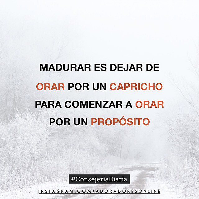 JesusHijo_Dios's tweet photo. ✨ Sigue más fotos en nuestro instagram https://t.co/bfEbMhxnyM https://t.co/bSWZrAWniQ