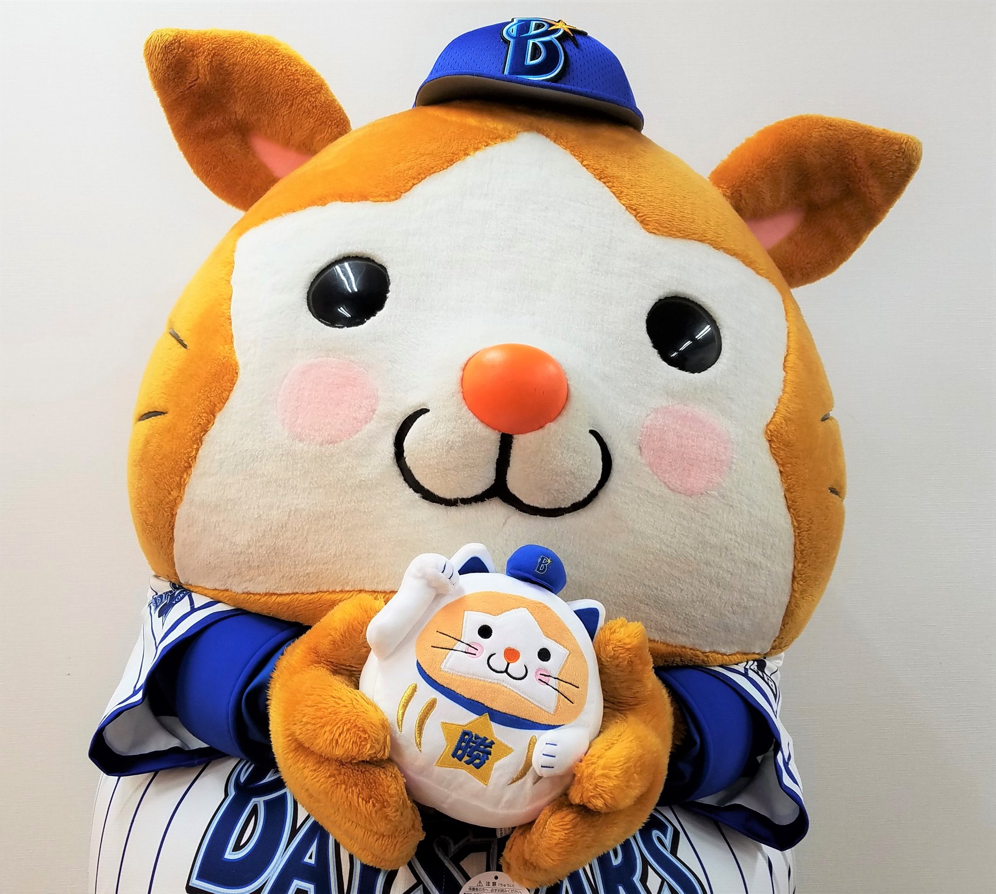 ✮値下げ✮希少✮まめゴマ✮なりきりぬいぐるみ2個セット✮ 横浜DeNAベイスターズ on X: 