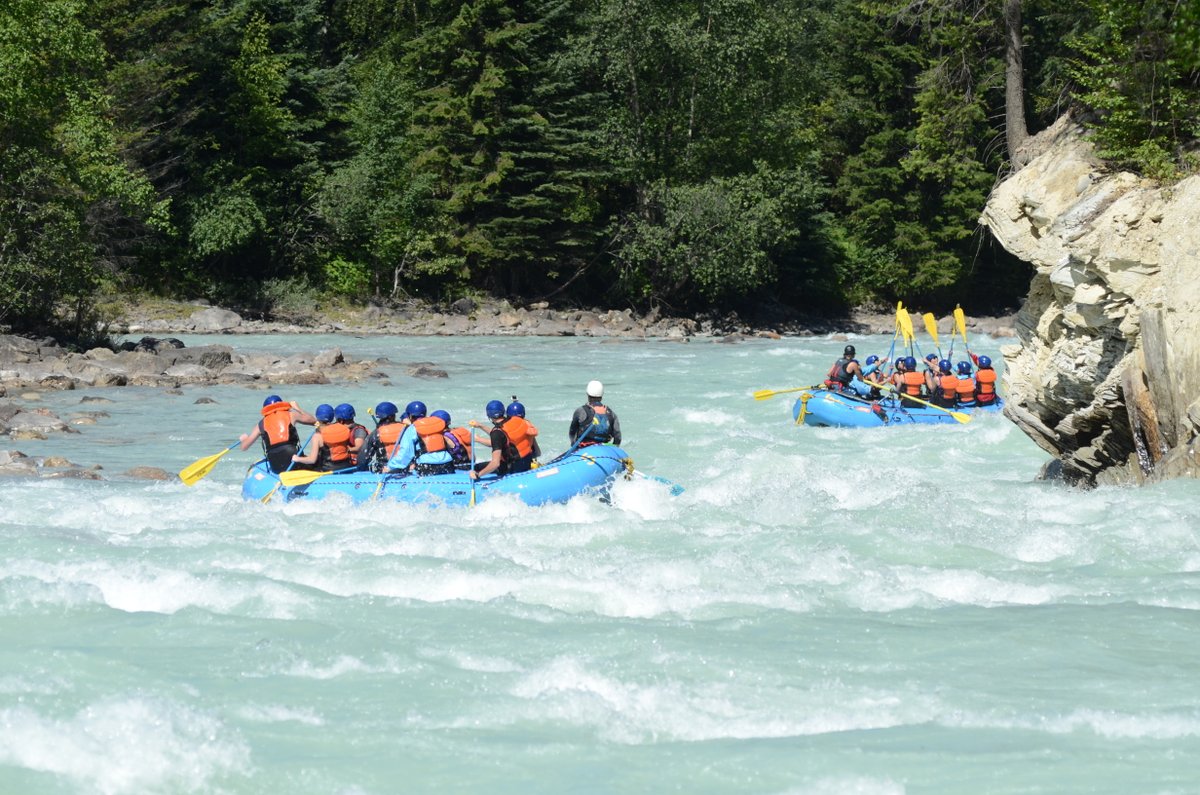 HydraRiverGuide's tweet image. If you’re searching for one of the best ways to explore the Canadian wilderness then look no further. Tackling the rapids of the Kicking Horse River is perfect, find out why. bit.ly/39innxB