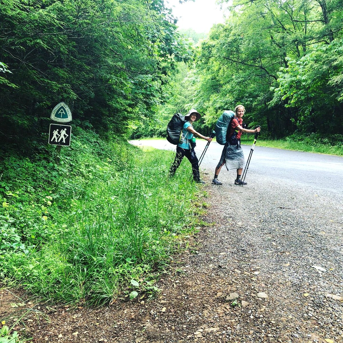 karylclark149's tweet photo. How the #Hike Changes You: Reflections from 2019 Appalachian #Trail Thru-Hikers https://t.co/qtHOAa02jQ #all_shots tropical wood https://t.co/zLM3S3G5R1