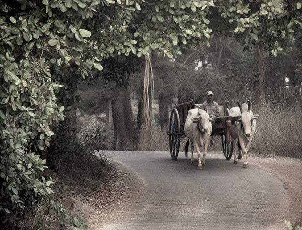 SignsAlpine's tweet image. I'll be back "on the job" in late March. Thank you for your patience.