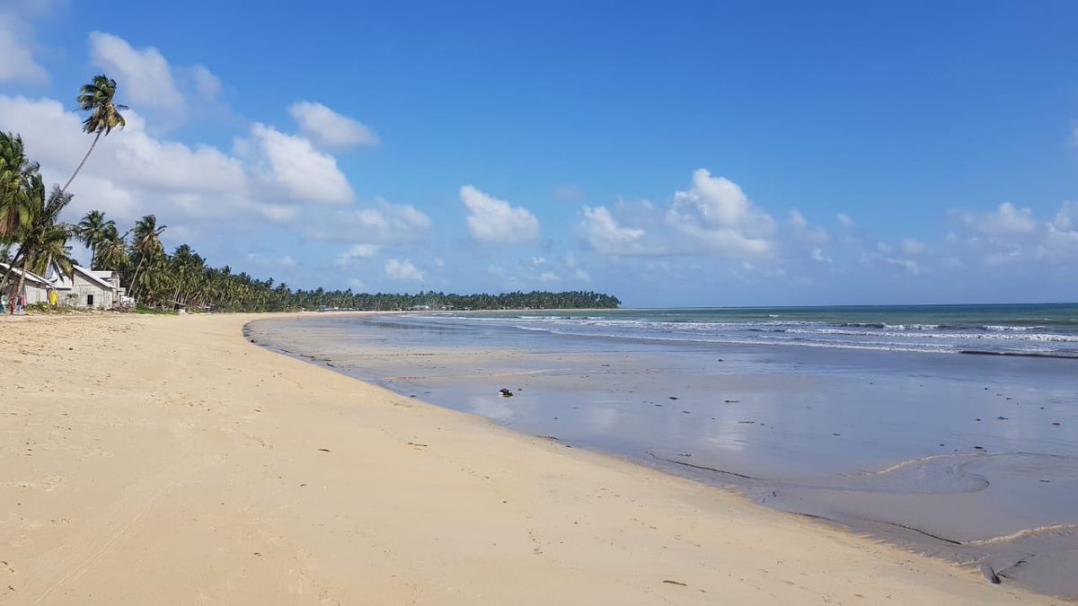GenPi Natuna tweet media