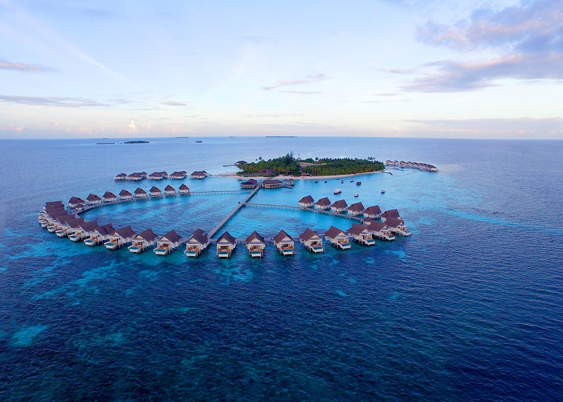 BedsMorecom's tweet image. 40% ! Discount on room rates

#Adaaran #Prestige #Vadoo #Maldives - @Maldives - #South_Male @Atoll @BedsMoreCom info@bedsmore.com

bedsmore.com/en/hotel/detai…