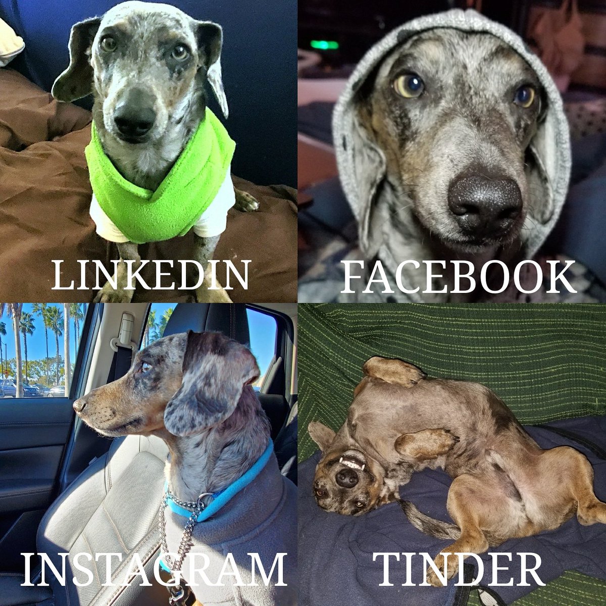 Preppy, Gangsta, Sporty and Sexy!
#Wicket♂️