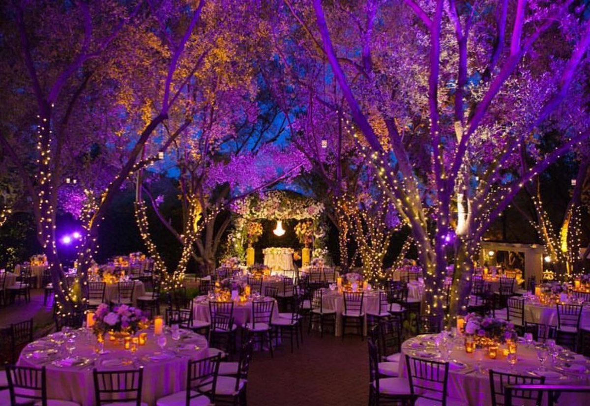 XquisiteEvents's tweet photo. When the sun sets, the party comes to life! #ExquisiteEvents https://t.co/ODEoBMvjJf