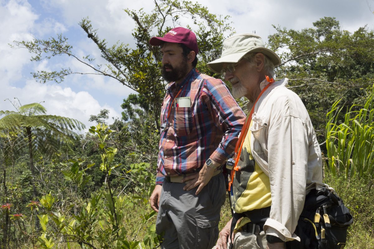U-M doctoral student Zachary Hajian-Forooshani and U-M ecologist John Vandermeer survey a Puerto Rican coffee farm damaged less than a year earlier by Hurricane Maria.