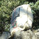 上野動物園からの問題です!さて、この動物はなんでしょうか!？