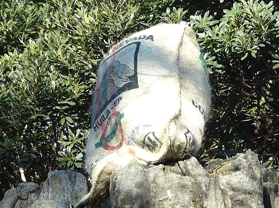 上野動物園からの問題です！さて、この動物はなんでしょうか！？