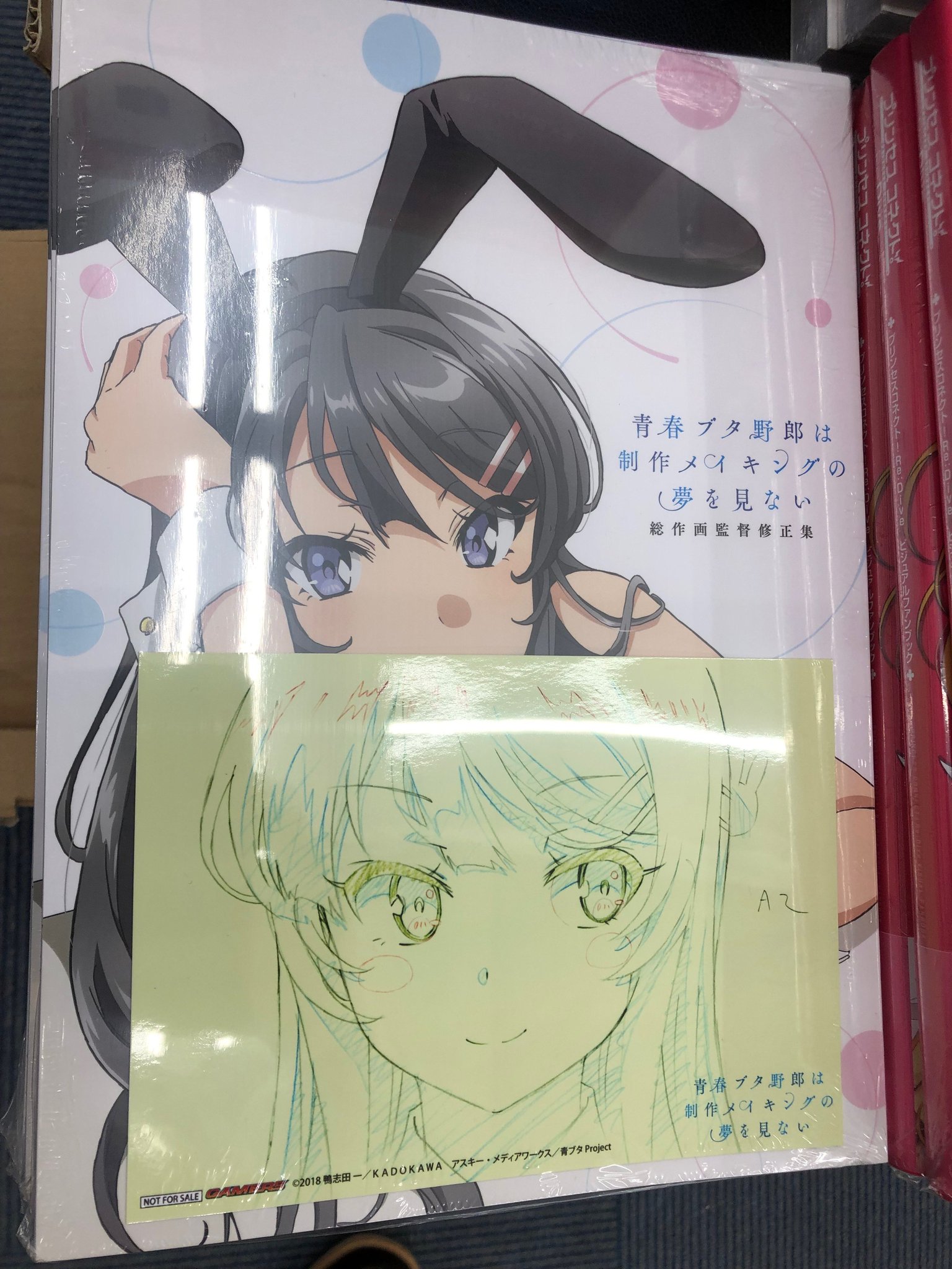 超歓迎された】 青春ブタ野郎は制作メイキングの夢を見ない 総作画監督 超歓迎された】 青春ブタ野郎は制作メイキングの夢を見ない 総作画監督
