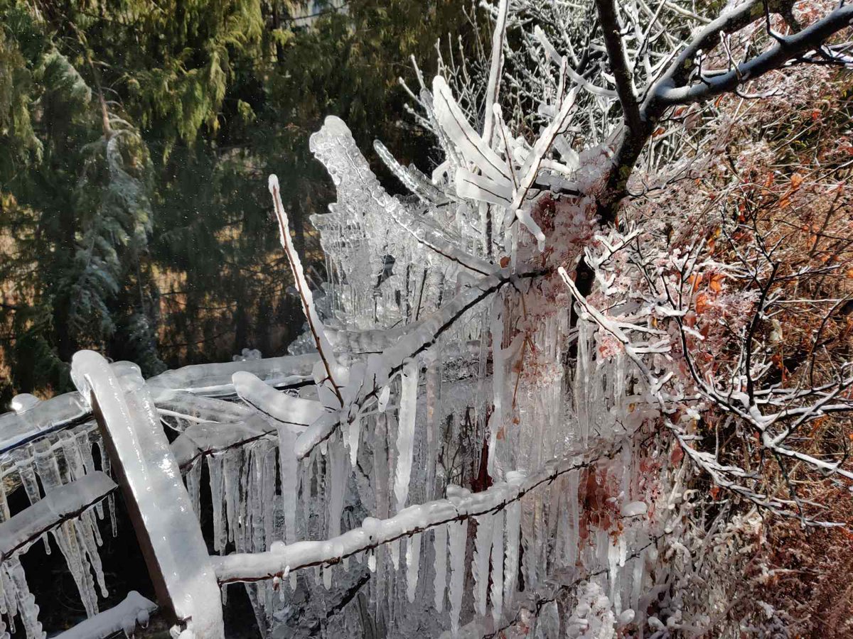 Icicles and frost are the trademark of the crisp winter in Paro, Bhutan. January and February has it own unique charm that comes with the purity of the Himalayan winter. #winter #bhutan #paro #nirvanalodge #Himalayas