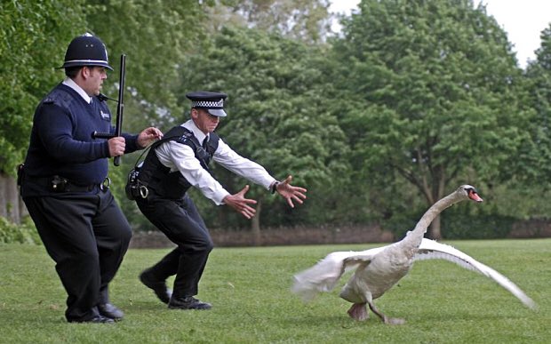 59. Hot Fuzz (2007)