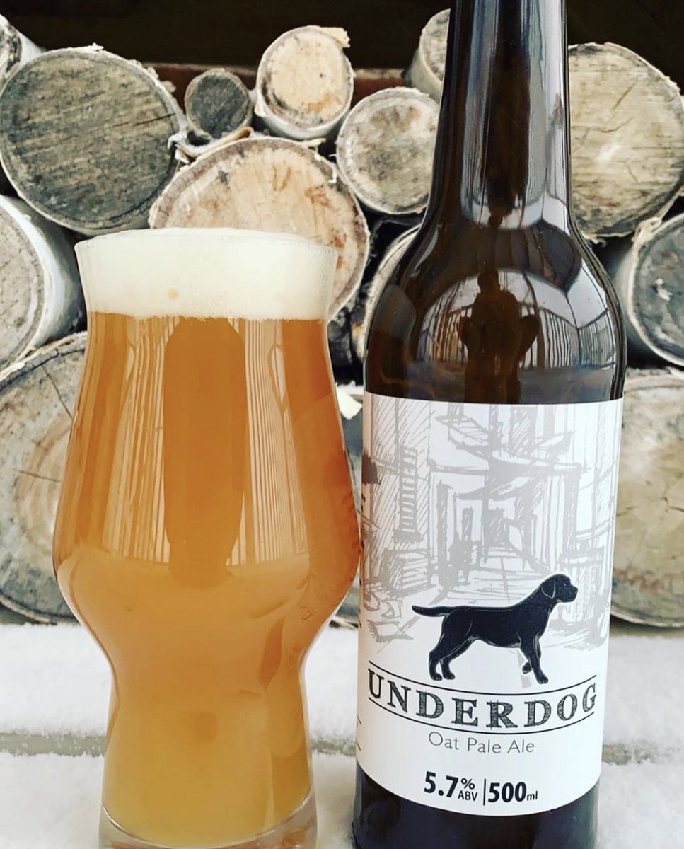 When Underdog becomes the favourite 🍻