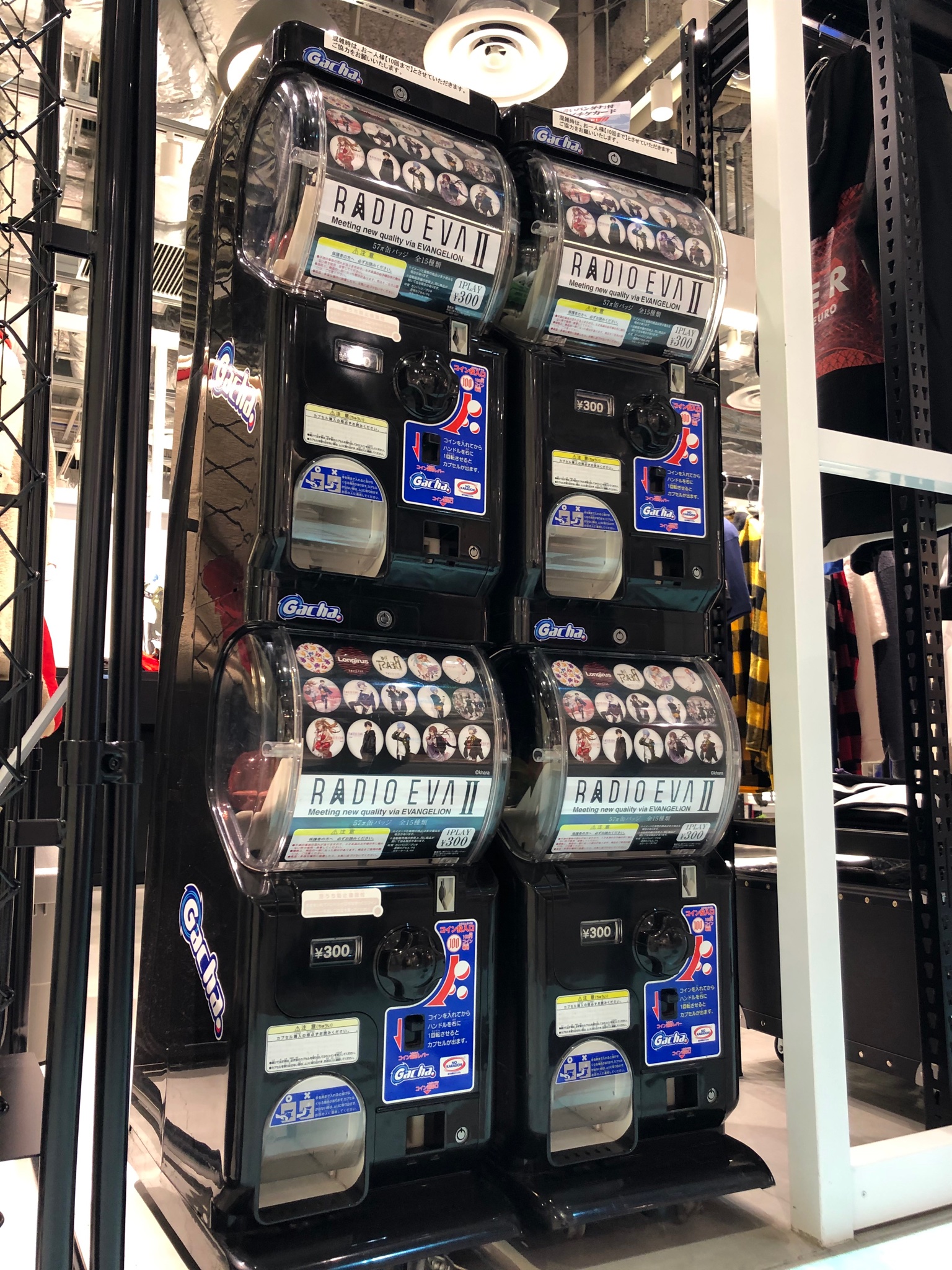 RADIO EVA STORE on X: 