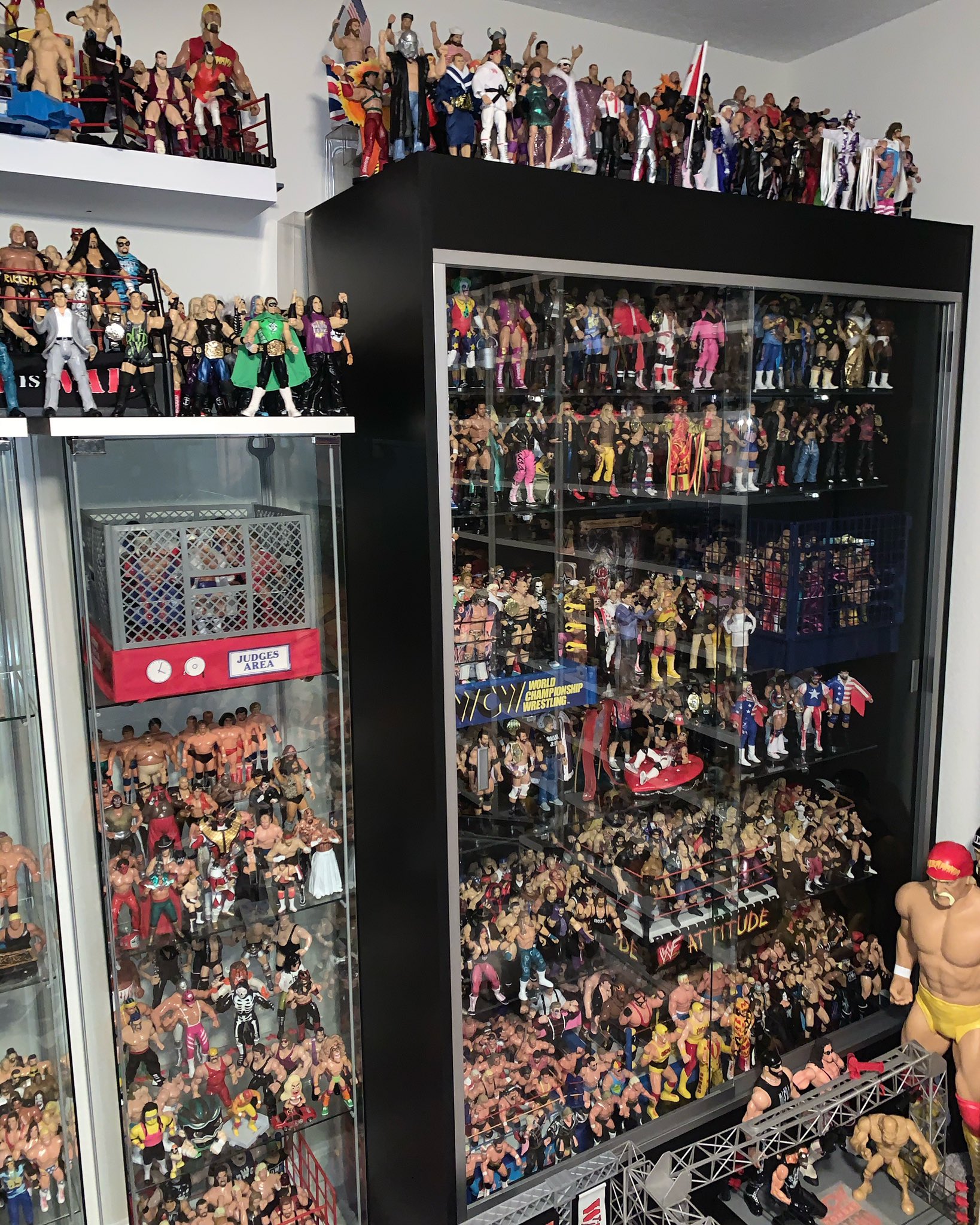Wrestling hotsell figure collection