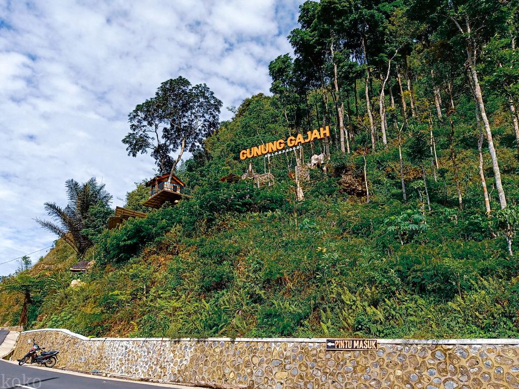 kantong_kreseg's tweet image. Gunung Gajah Kulon Progo
#ExploreKulonProgo