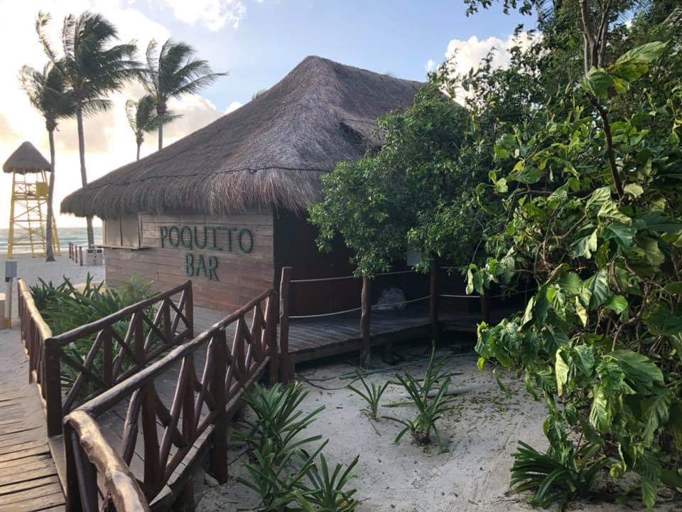 DDemianiw's tweet photo. Home last week! Grand Sunset Princess Mayan Riviera. https://t.co/lhUjgSMguy