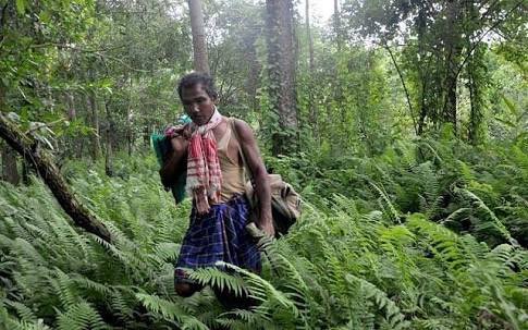 @VishnuNDTV @ndtv @GretaThunberg Tell this nitwit (who you are sucking up to) about our #JadavMolaiPayeng, an environmental activist and forestry worker from Jorhat, the #ForestManofIndia. He turned a sandbar of the river Brahmaputra into a forest reserve, #MolaiForest 1,360 acres over 30+yrs.