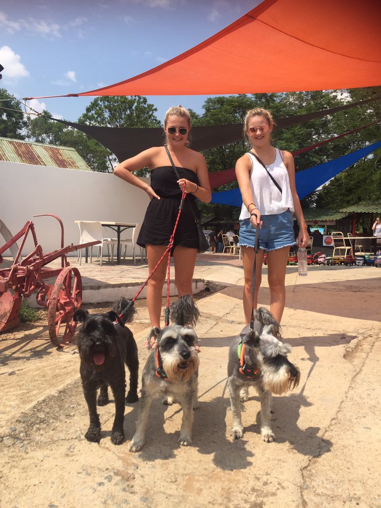 RiversandsFarmVillag tweet media