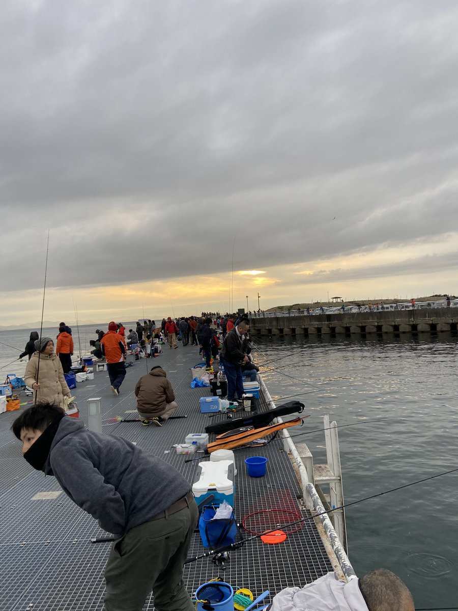 まさ Express 豊浜漁港で先週に引き続き 釣り行きました 1時間くらいしかやってないけど 豊浜漁港 イワシ