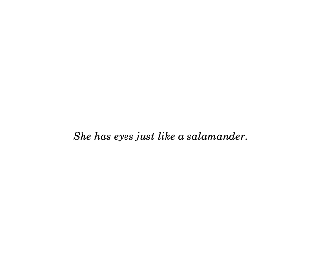 the poet / the poem
