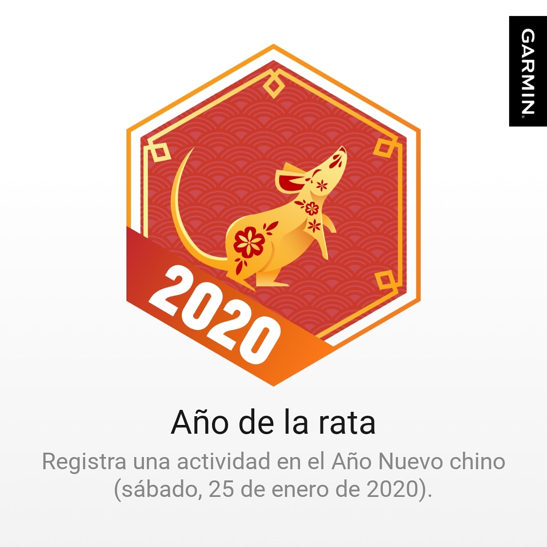 agrberty's tweet photo. Otra medalla más conseguida con garmin, hoy 6.5k más de carrera.
#YoElegiCorrer #nikerunning #soyrunner #soycorrerdor #garmin #garminau #garminvivoactive3 #vivoactive3 #nikeepicreactflyknit #epicreactflyknit #reactflyknit https://t.co/s9XzZvfa1v