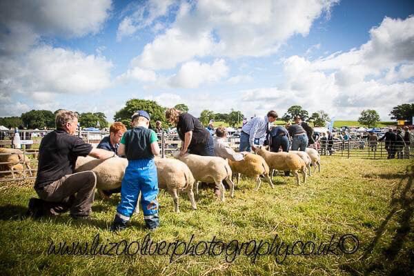 Here’s a bit of fun on a Saturday morning!! These are beautiful memories of another glorious   #SkeltonShow of the past, captured by Luiza Oliver 📷 
But from which year?????☀️☀️🍾🍾🐴🐮🐏 Post your guesses in the comments !!