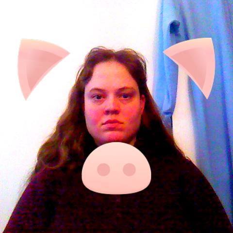 patsyanncrowle1 tweet picture