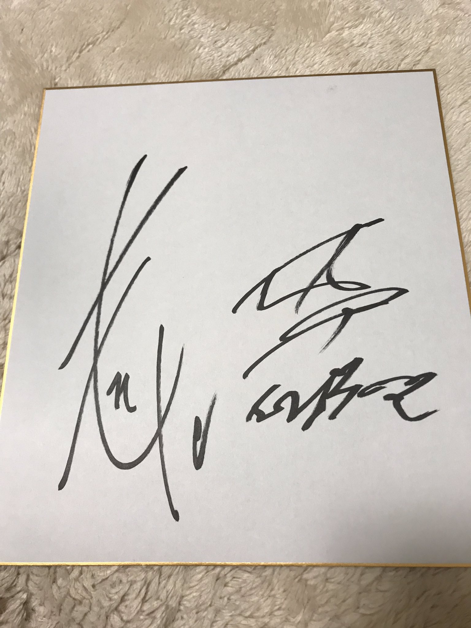 井東のサイン tokyogenso_88graph_midigenso_0