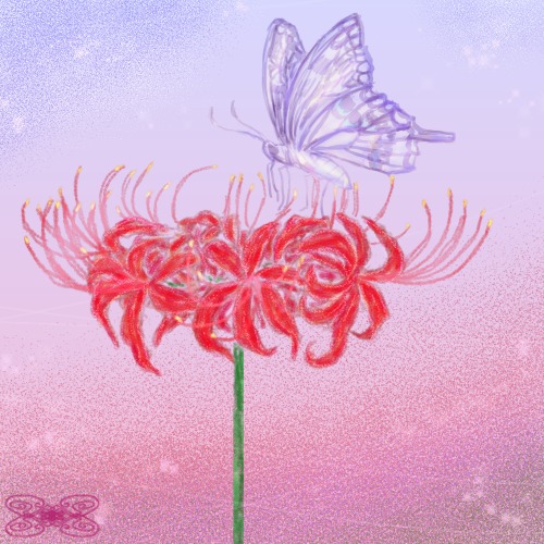 彼岸花のtwitterイラスト検索結果 古い順