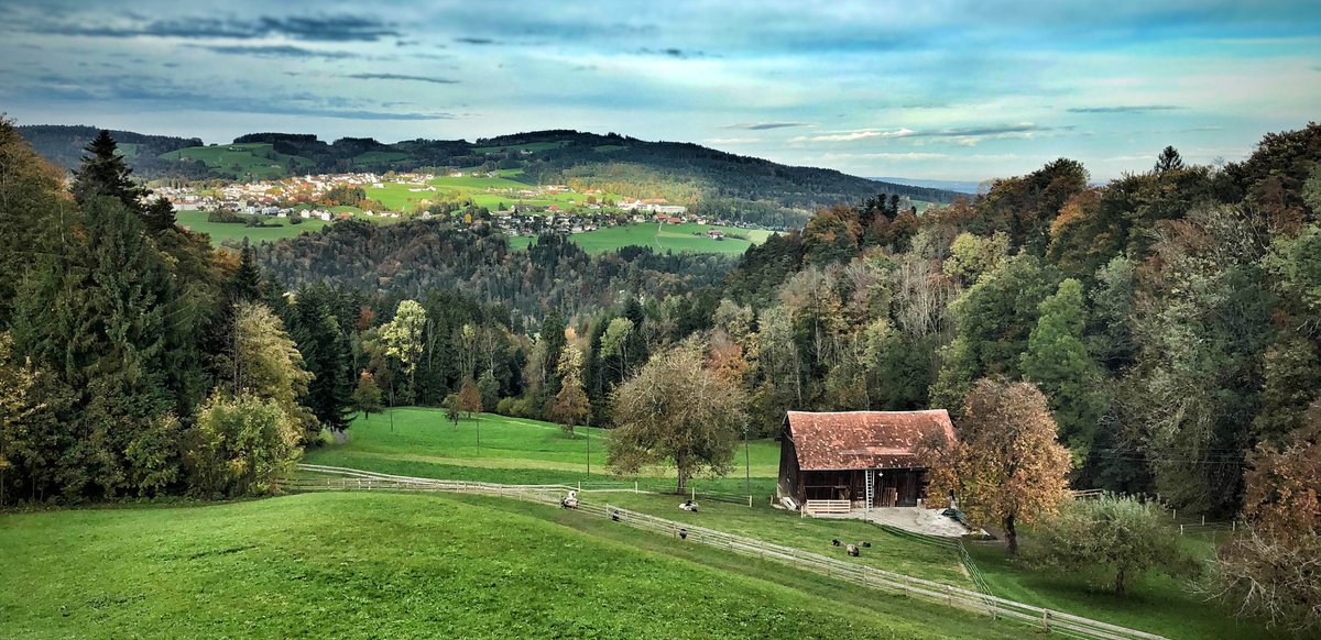 kvdnews's tweet photo. Das #Weissbuch Digitale Agenda Bodensee von @_KMUdigital ist da – mit vielen wichtigen Handlungsempfehlungen für #KMU, nicht nur am #Bodensee https://t.co/2jzjrebaNT https://t.co/qfvuKNV7Nl