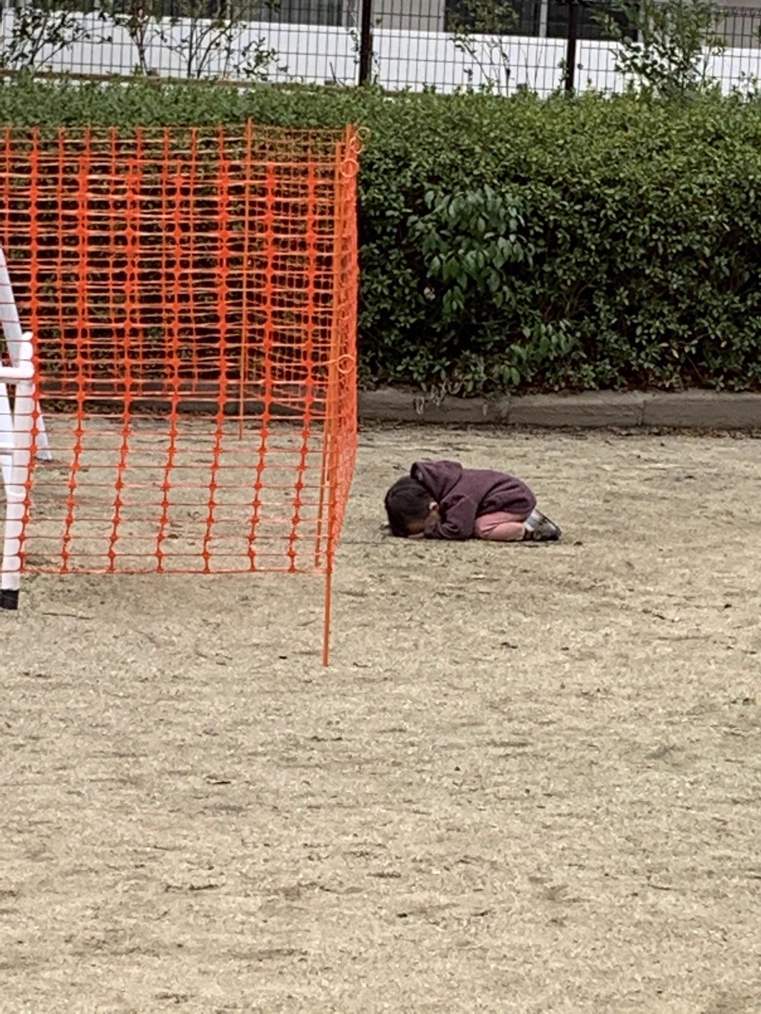 ブランコが工事中で使えないことを知った子どもの絶望っぷりが面白いwww