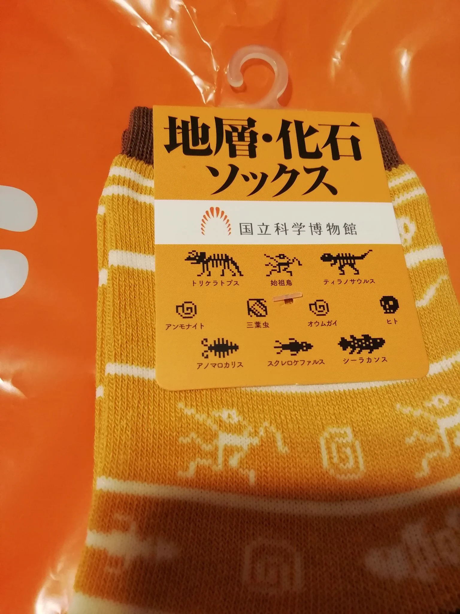 国立科学博物館で販売されている、「地層・化石」くつ下が話題www