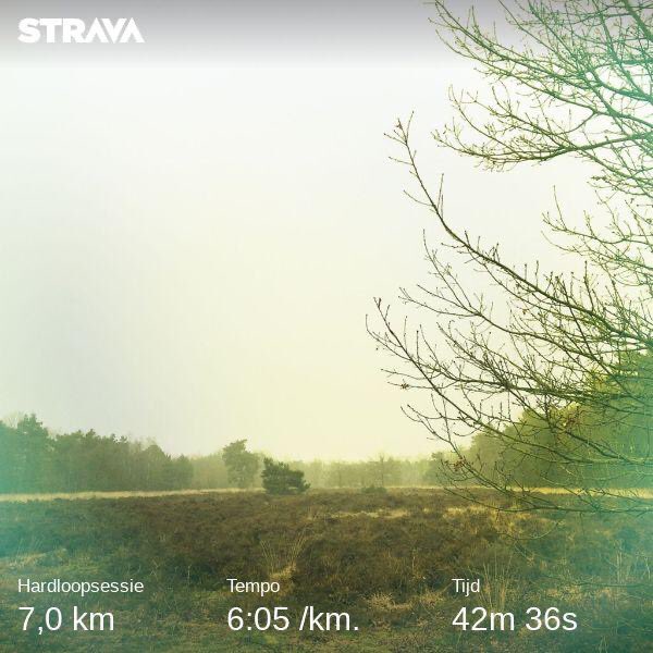 Just_Yazz's tweet photo. #icecold #PureTrail #workout ➡️ #NotTooBad 7k ✅  #Spotify 🎧 #MassiveAttack #UnfinishedSympathy #IJzerenMan #VughtseHeide #NatureRunning 🌳 #TrailRunning #BadAssMotherRunner🏃🏻‍♀️ #IstanbulRunners  #KadıköyRunners #DutchRunners #HMtraining #Dedication #Strava #Garmin #IMOVEME https://t.co/VJMID3x583