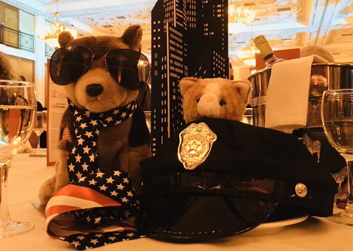 petidmicrochips's tweet photo. Dognapping at #spvsvmg20 Bring back Frank and Molly and their friends! @VBJMagazine @virtualrecall @clayts74 @HelenTottey @avidplc https://t.co/zfxq5hQwwL