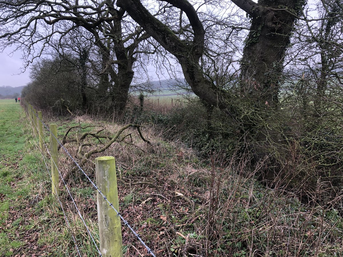 AbiReader's tweet image. @AndrewRTDavies Heard about this drop in session on #waterquality Potential new regs from WG = huge cost on farms with no evidence from NRW Ag pollution is increasing, or if proposed regs will make a difference. Audited my waterways this week with #RiversTrust &amp;amp; they look good