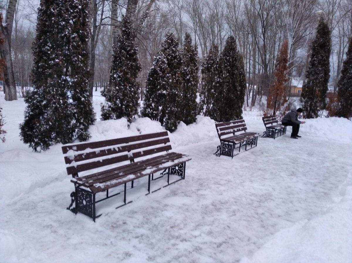 Finuprzhig's tweet photo. В парках активно работают дворники @Blago67272669 https://t.co/azSfA53v3O