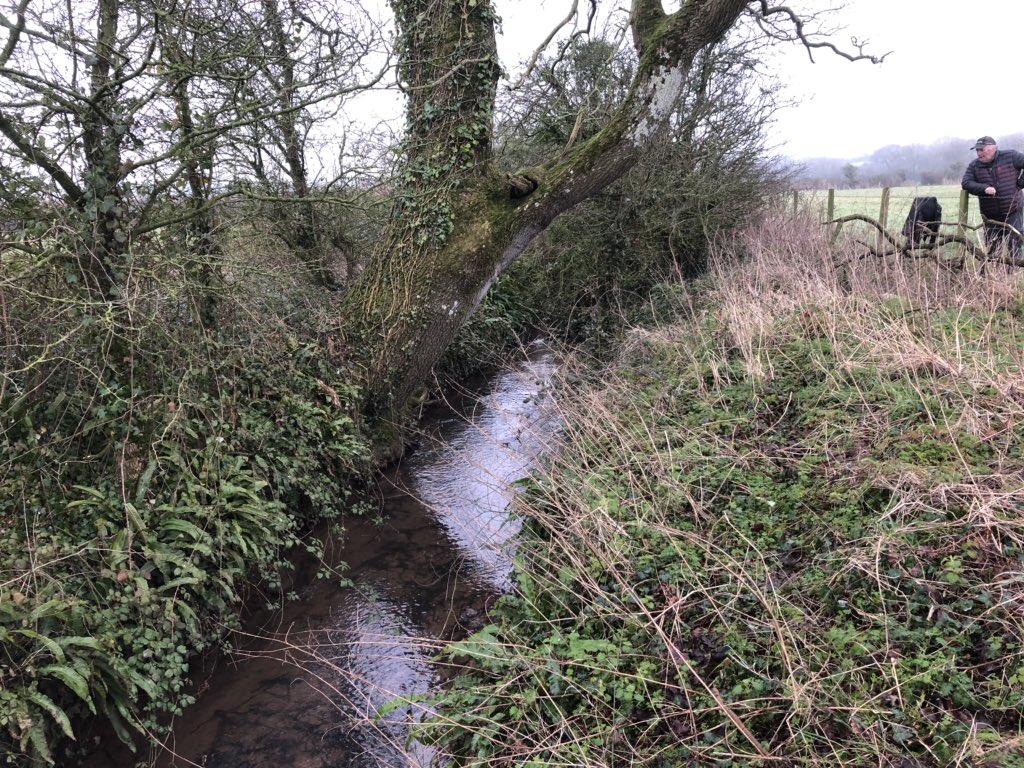 AbiReader's tweet image. @NeilUKIP Heard about this drop in session on #waterquality We spoke this week about the impact on farms. No evidence new regs will give solutions we all want. Audited my waterways this week with #RiversTrust &amp;amp; they look good 🤷🏻‍♀️🤔