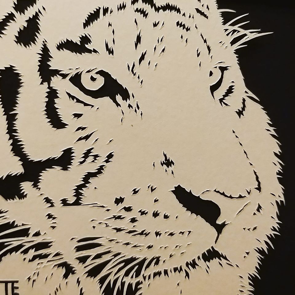 This year artist Tracey Escolme has set herself a daily art challenge. So far throughout January Tracey has been producing papercut art by hand at just 3x3 inches in diameter.

isn't the detail just amazing!

facebook.com/traceyescolmea…