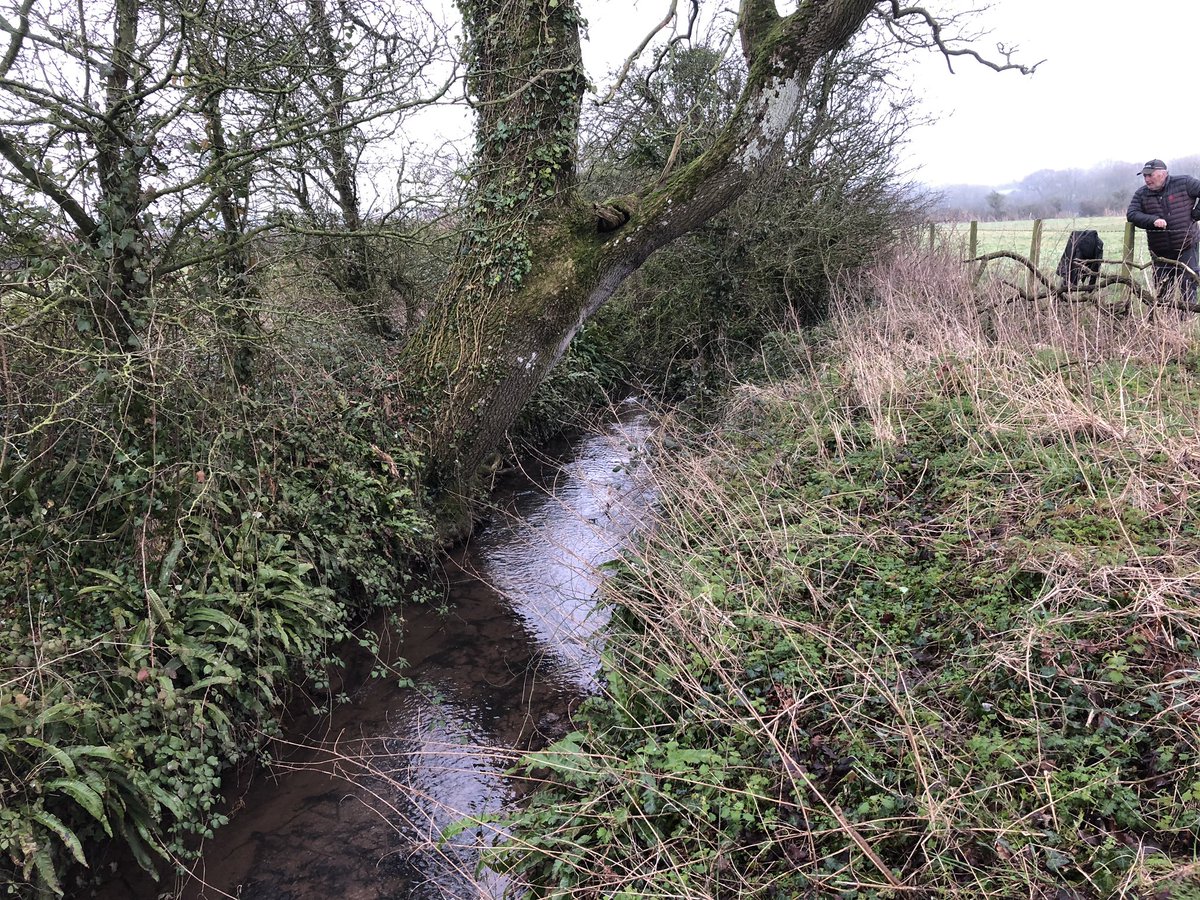 AbiReader's tweet image. @LlyrGruffydd good to speak about #waterquality this week. Invited #RiversTrust to audit my waterways to see where I can improve, all looks good 🤔🤷🏻‍♀️ Need evidence not mindless investment based on assumptions