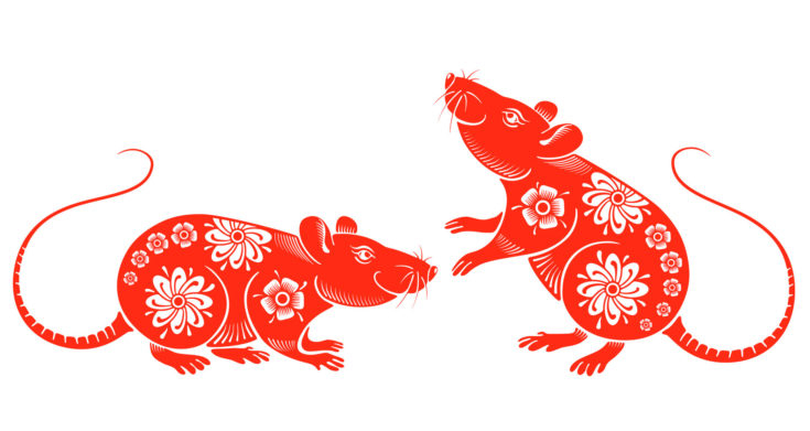 As we say farewell to the Pig and welcome in the Year of the Rat we like to wish a very happy Lunar New Year to all our followers 🌝🐀🎆🎇

HAPPY NEW YEAR!

#IEF #OWBTS #chinesenewyear #yearoftherat #鼠年 #shǔ​nián #studybournemouth #lovebournemouth #poole