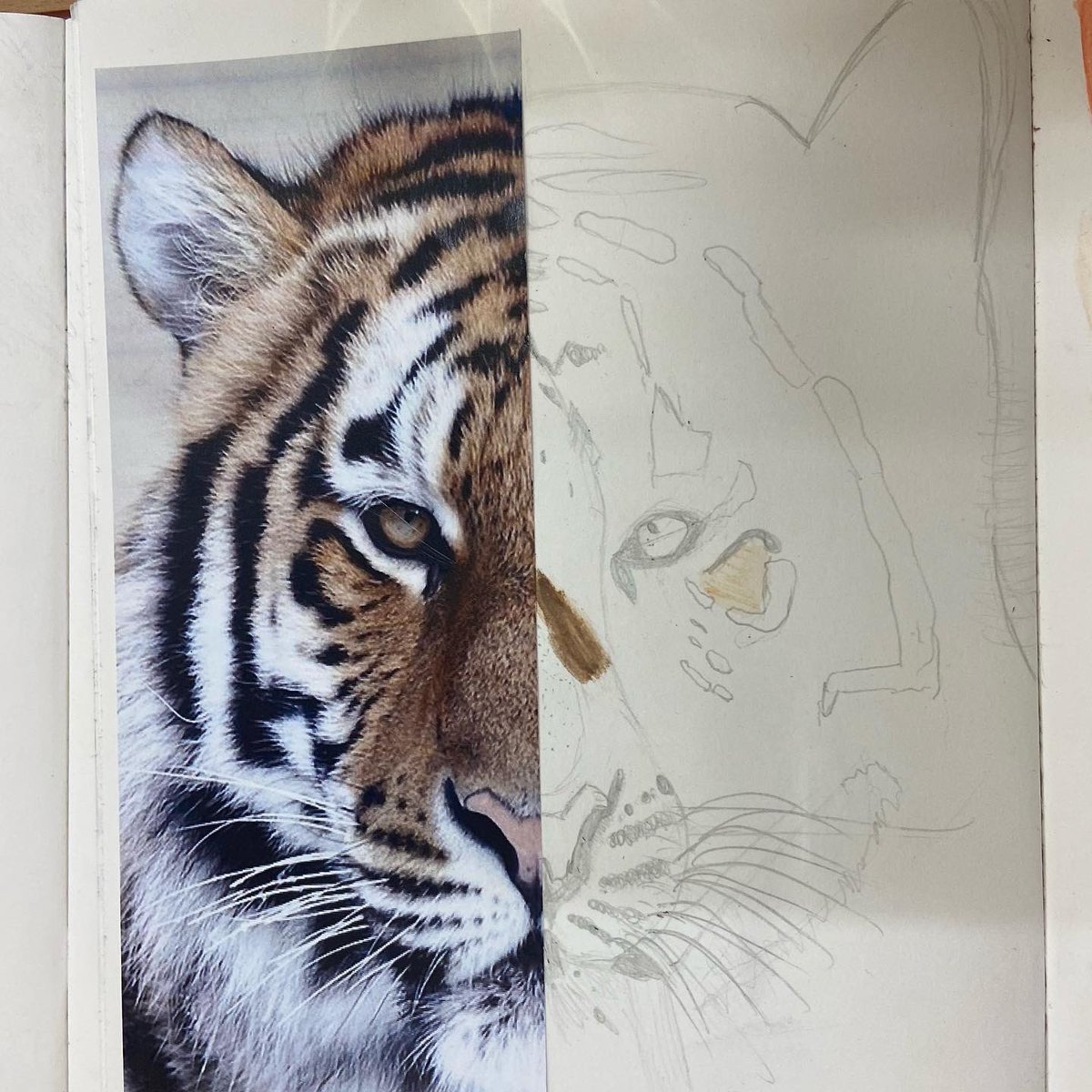 miss_davison96's tweet photo. Beautiful pieces of artwork that my year 2-6s made this week.
@YSJPrimary #ysjprimary #teaching #teacherlife #studentteacher #childrensart https://t.co/Od0MnXWEny