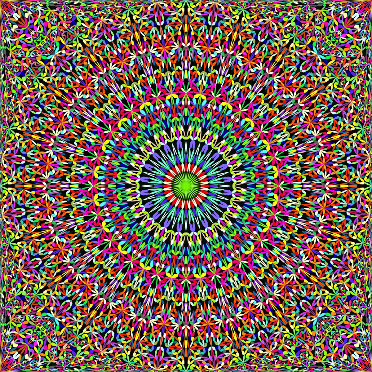 RT x.com/davidzydd/stat… 12 Colorful Seamless Floral Mandala Patterns #MandalaGraphics #floral #backdrop #background #garden #yoga #MandalaBackground #background #design #seamless #abstract #…